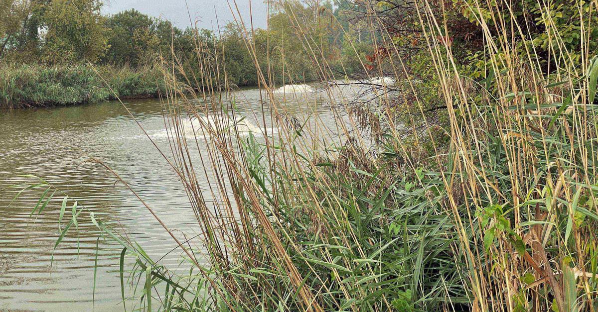 Der Reinheimer Teich muss wieder belüftet werden